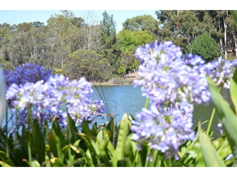 8 (Lot719) Lefroy Road, Bridgetown WA 6255