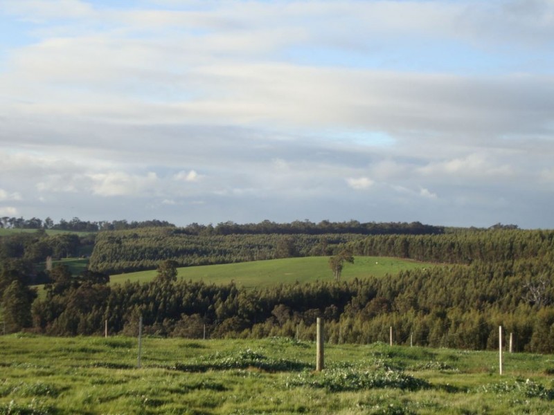 789 Mokerdillup Road, Bridgetown WA 6255