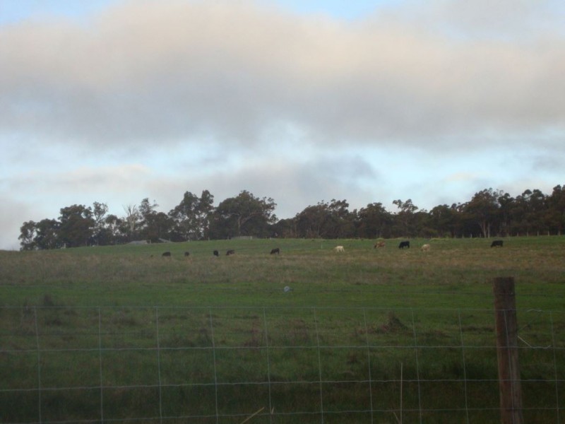 789 Mokerdillup Road, Bridgetown WA 6255