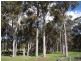 789 Mokerdillup Road, Bridgetown WA 6255