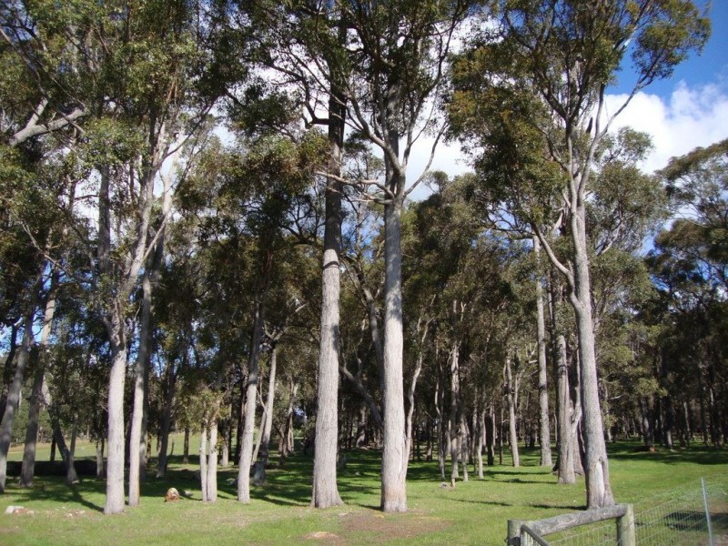 789 Mokerdillup Road, Bridgetown WA 6255