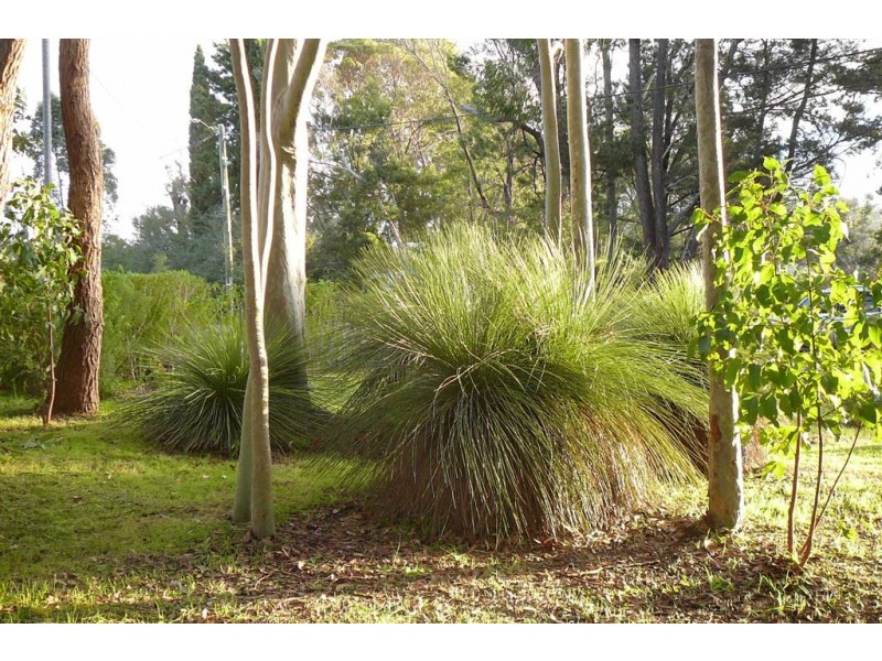 7 Dearle St, Balingup WA 6253