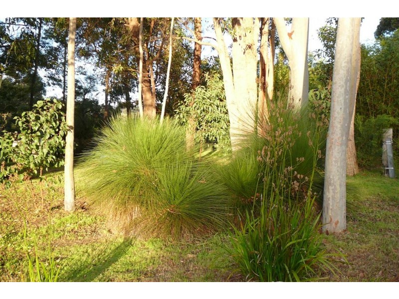 7 Dearle St, Balingup WA 6253