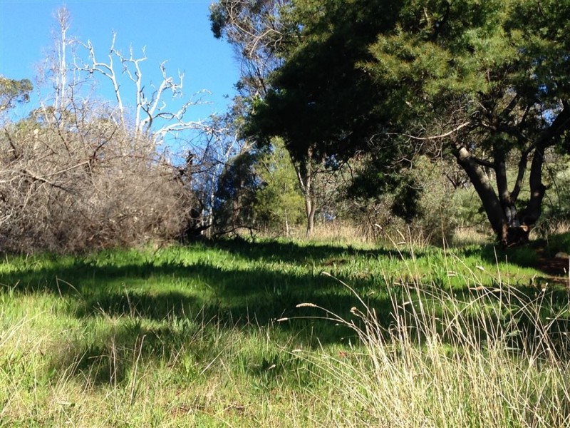 Lot 263 GEEGELUP VIEW, Bridgetown WA 6255