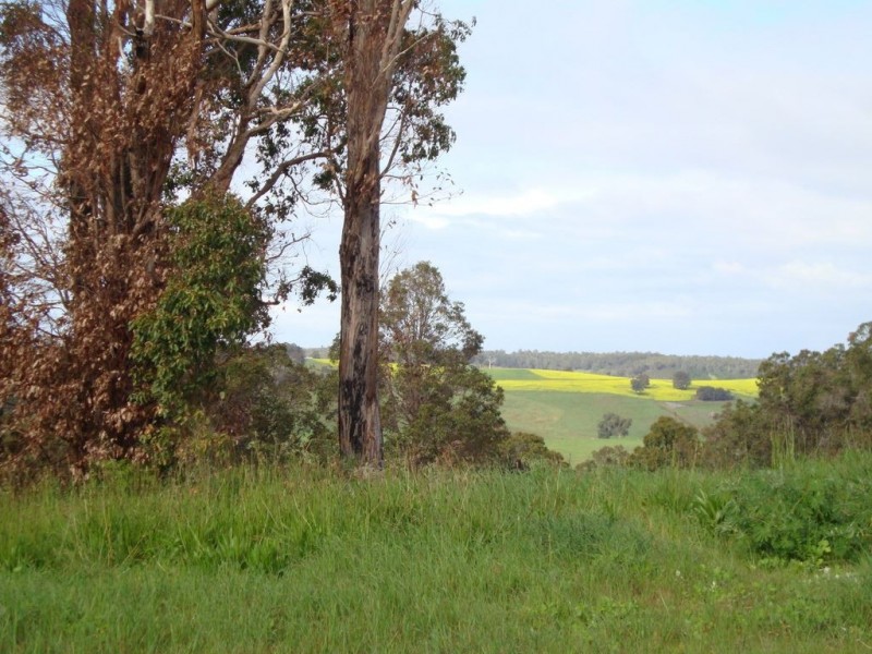 16 Manor Ridge, Bridgetown WA 6255