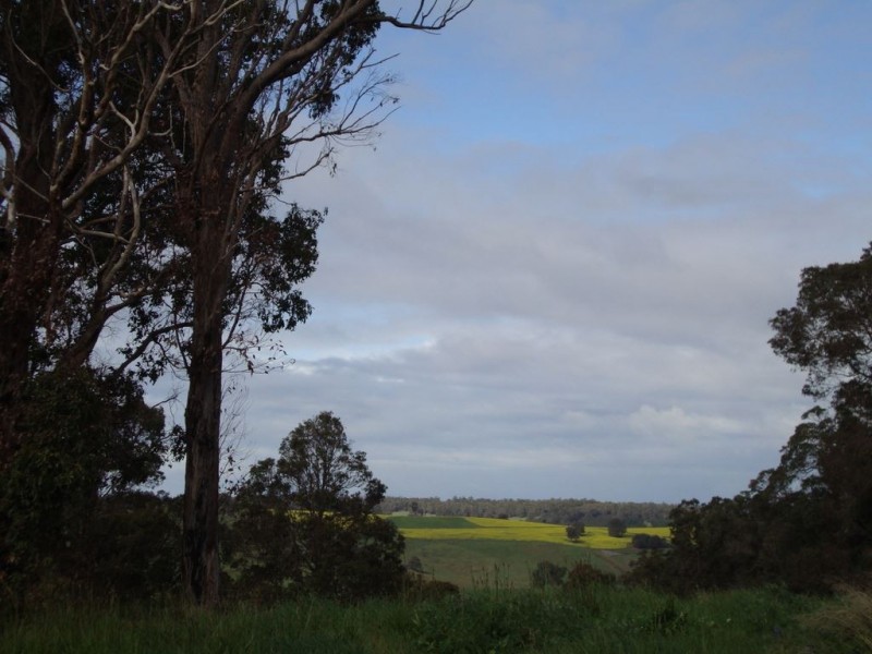 16 Manor Ridge, Bridgetown WA 6255