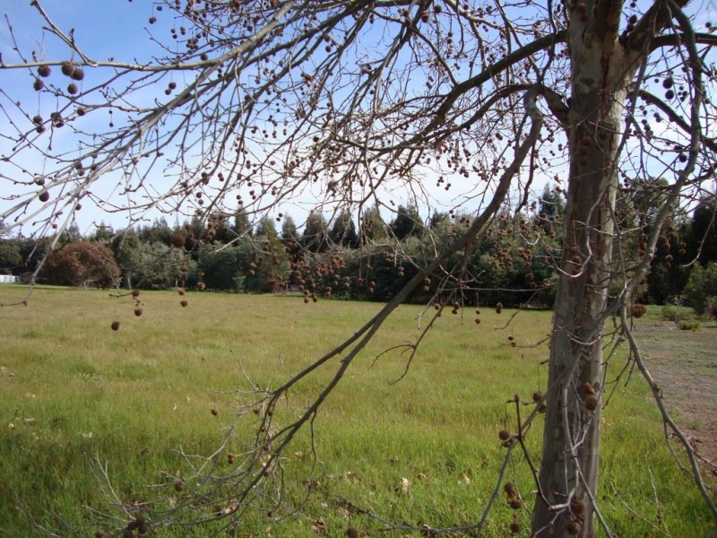 Lot 3 Balmoral Drive, Bridgetown WA 6255