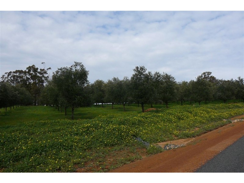 L1284 Kaufmann Rd, Boyup Brook WA 6244