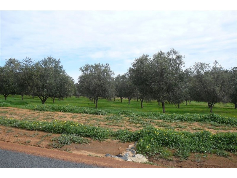 L1284 Kaufmann Rd, Boyup Brook WA 6244