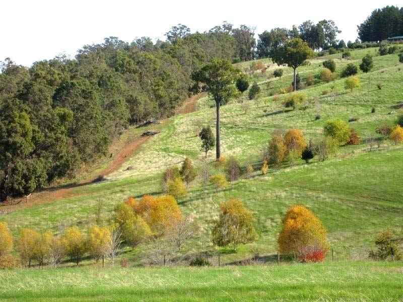 8 GOLDEN ASH RISE, Bridgetown WA 6255