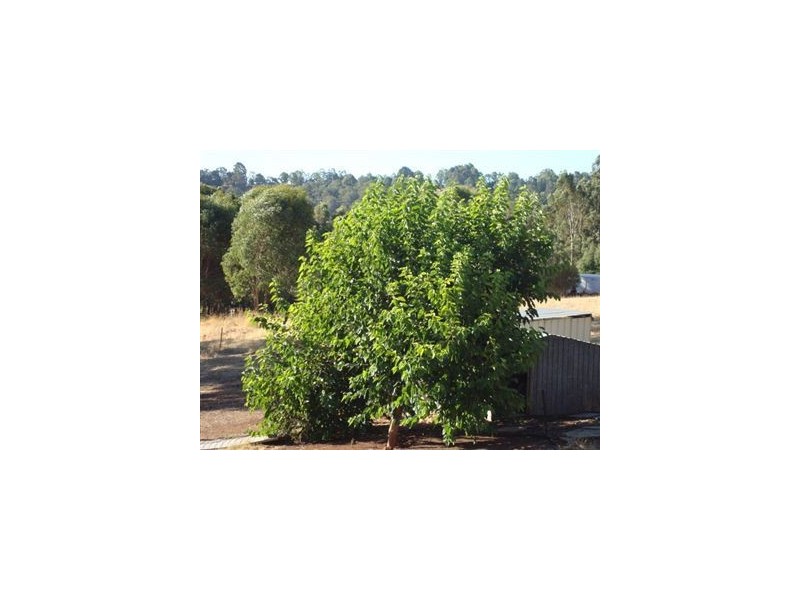 0 Ecclesiastic Close, Bridgetown WA 6255