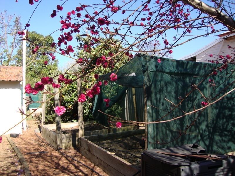 4 JAYES ROAD, Boyup Brook WA 6244