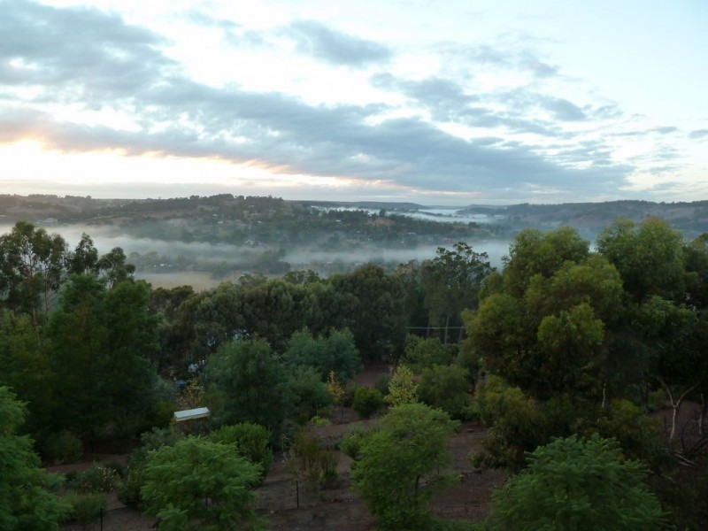 5 SUTTON CLOSE, Bridgetown WA 6255