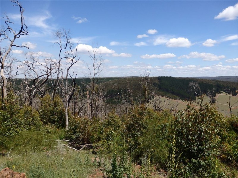 Lot 22 HUITSON ROAD, Bridgetown WA 6255