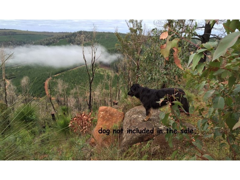 Lot 22 HUITSON ROAD, Bridgetown WA 6255