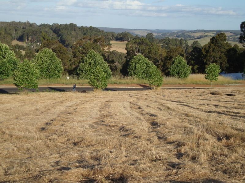 Lot 162 Manor Ridge, Bridgetown WA 6255