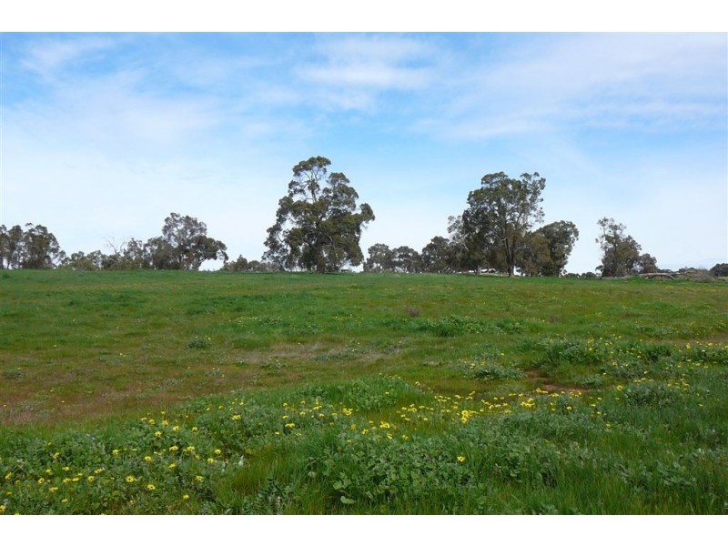 Lot 302 SINNOTT ROAD, Boyup Brook WA 6244