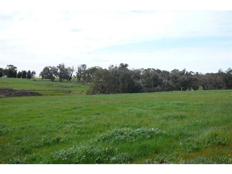 Lot 302 SINNOTT ROAD, Boyup Brook WA 6244