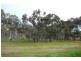 Lot 302 SINNOTT ROAD, Boyup Brook WA 6244