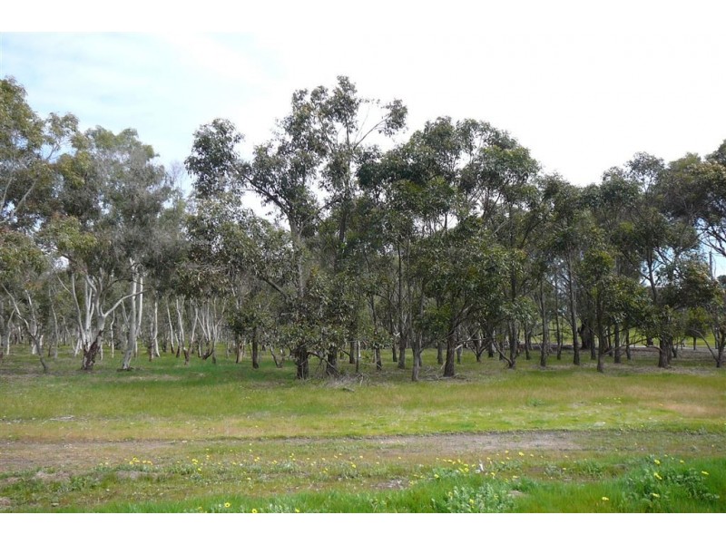Lot 302 SINNOTT ROAD, Boyup Brook WA 6244