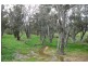 Lot 317 Kaufmann Close, Boyup Brook WA 6244