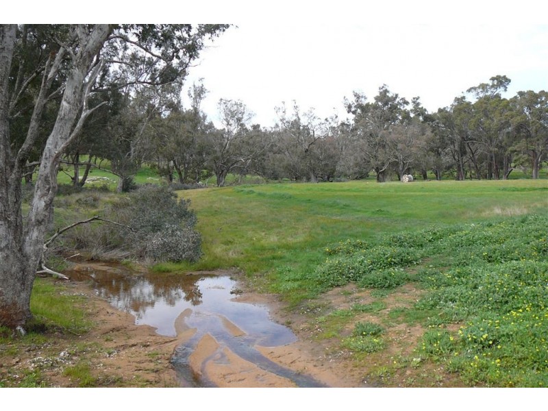 Lot 317 Kaufmann Close, Boyup Brook WA 6244