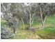 Lot 308 Kaufmann Close, Boyup Brook WA 6244