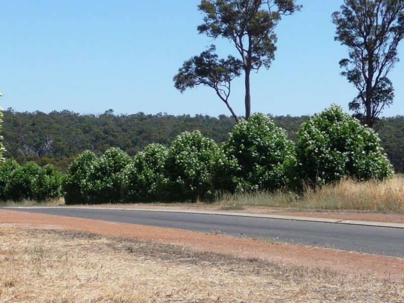 Lot 201 Emerson Ave, Bridgetown WA 6255