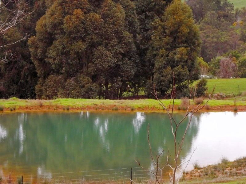 52 Maslin Street, Bridgetown WA 6255