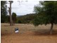 Lot 139 GOLDEN ASH RISE, Bridgetown WA 6255