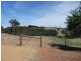 Lot 135 Golden Ash Rise, Bridgetown WA 6255