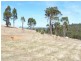 Lot 135 Golden Ash Rise, Bridgetown WA 6255