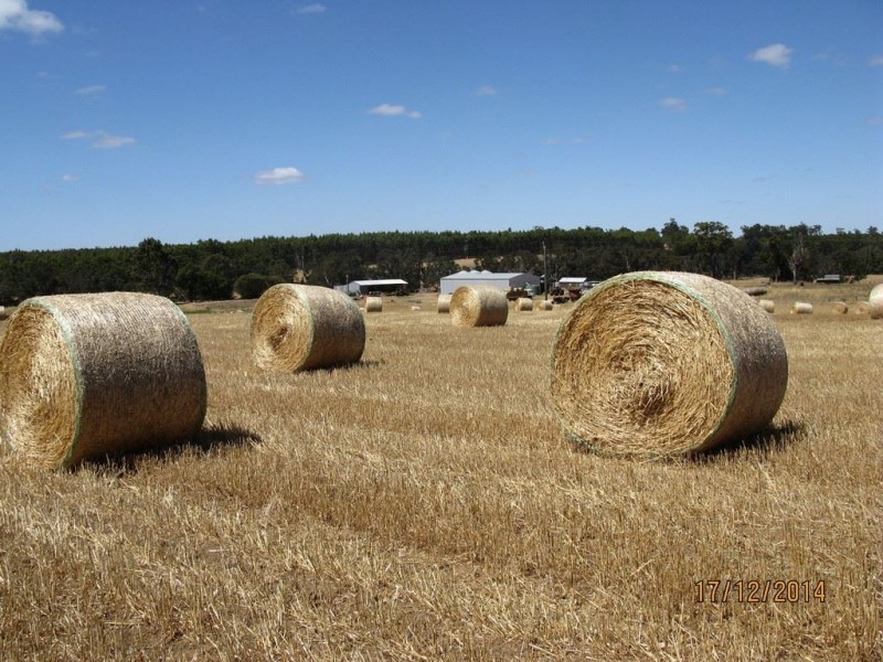 11758 Greenbushes Boyup Brook Road, Bridgetown WA 6255