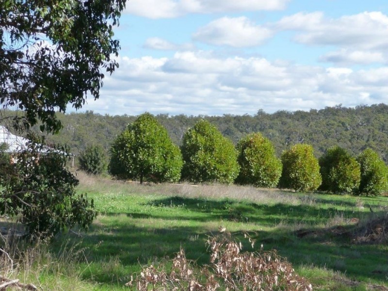 Lot 221 Emerson Ave, Bridgetown WA 6255