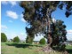 Lot 221 Emerson Ave, Bridgetown WA 6255