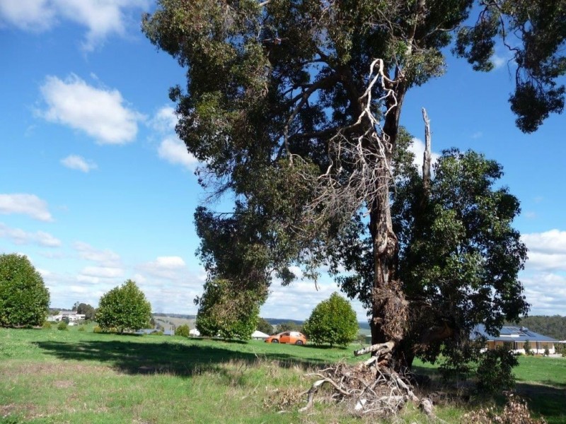 Lot 221 Emerson Ave, Bridgetown WA 6255