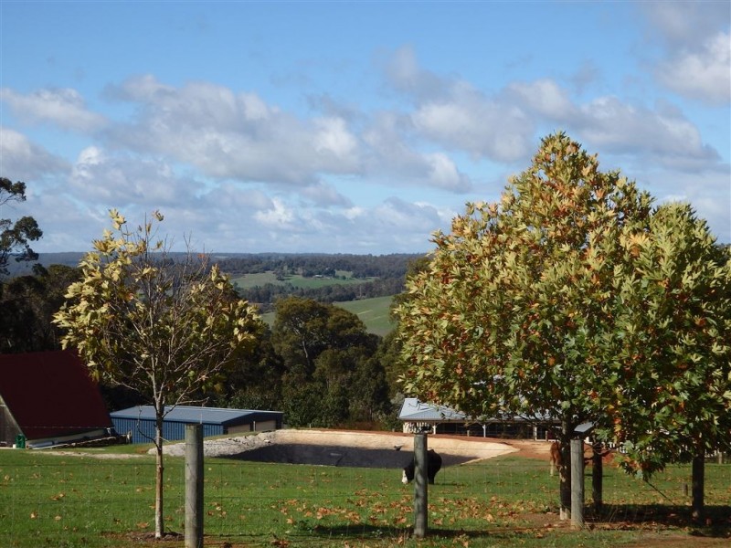 16 SKYE LANE, Bridgetown WA 6255