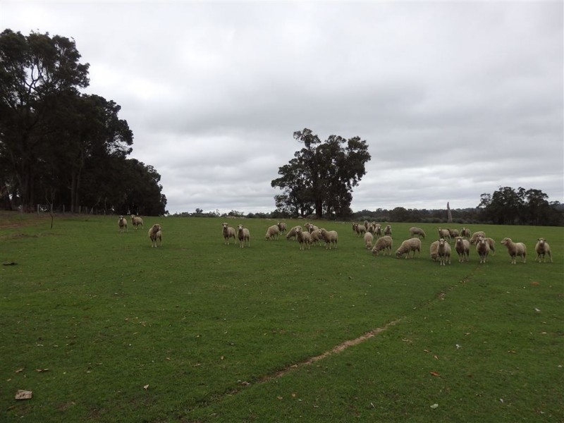 100 RIDGE VIEW AVE, Boyup Brook WA 6244