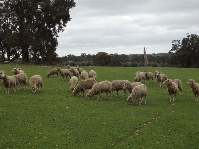 100 RIDGE VIEW AVE, Boyup Brook WA 6244