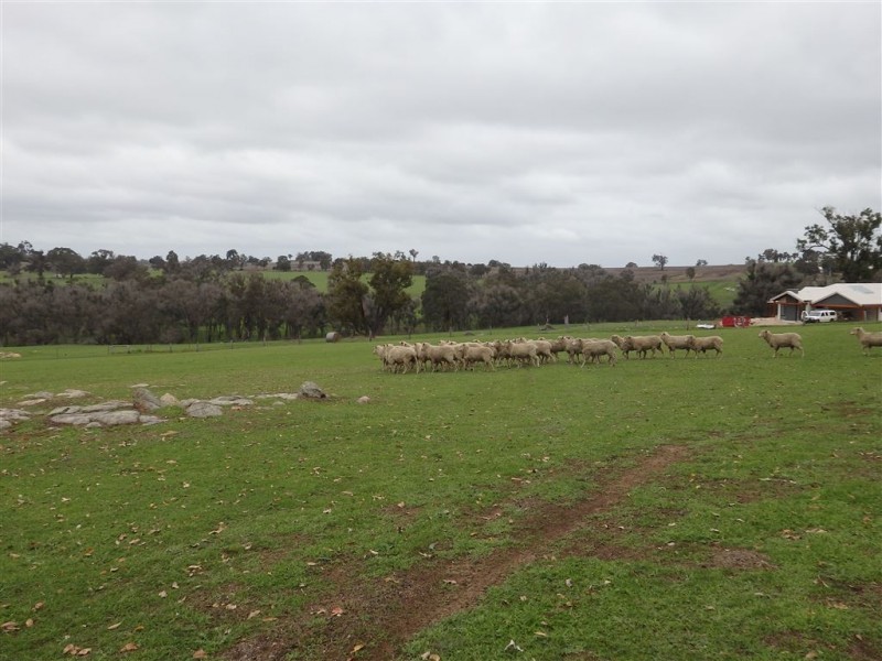 100 RIDGE VIEW AVE, Boyup Brook WA 6244