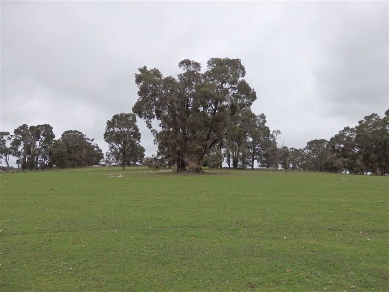 100 RIDGE VIEW AVE, Boyup Brook WA 6244