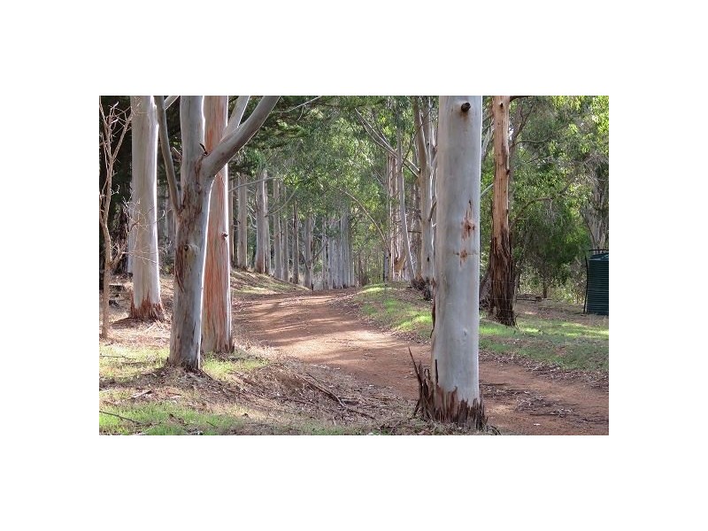 61 RIFLE RANGE RD, Bridgetown WA 6255