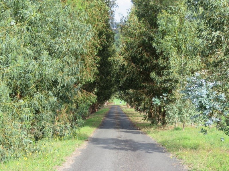 107 Bramley Place, Bridgetown WA 6255