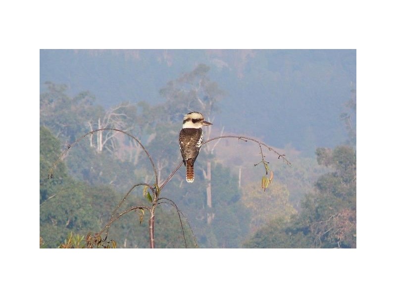 107 Bramley Place, Bridgetown WA 6255