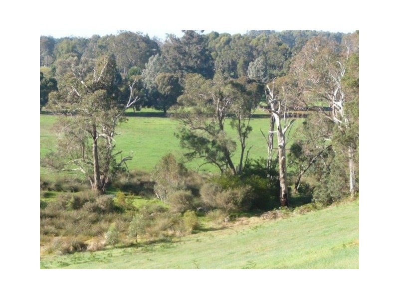 Lot 1 Windy Hollow Vale, Bridgetown WA 6255