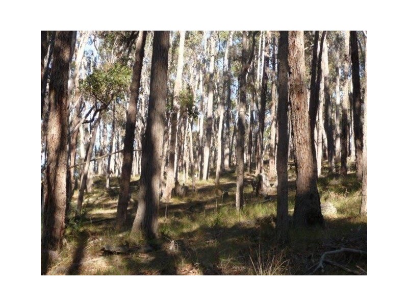 Lot 1 Windy Hollow Vale, Bridgetown WA 6255