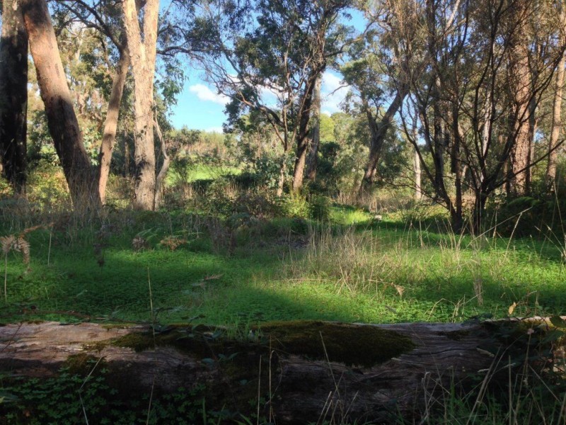 Lot 1 Windy Hollow Vale, Bridgetown WA 6255