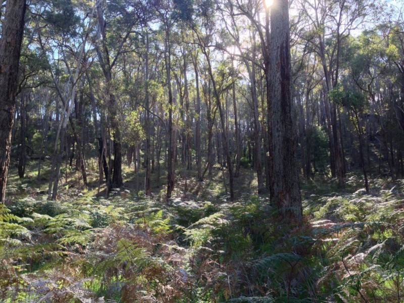 Lot 1 Windy Hollow Vale, Bridgetown WA 6255