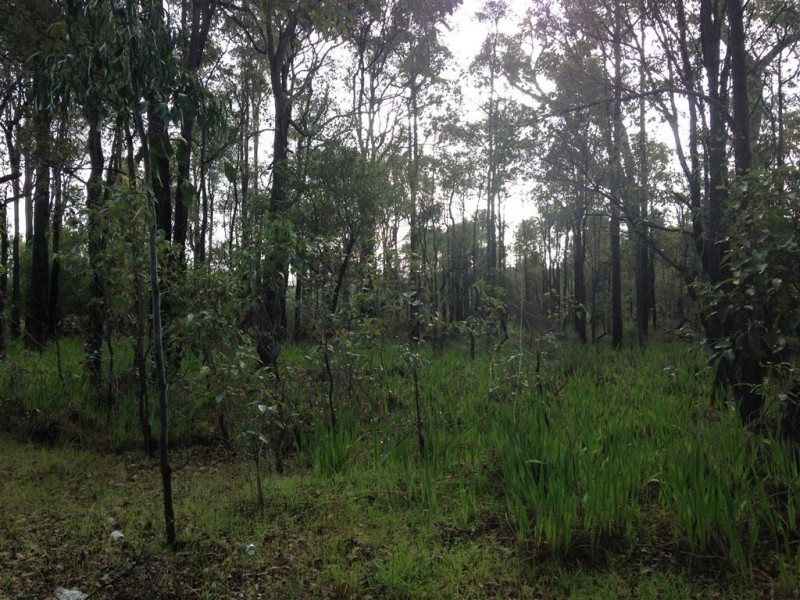 10 CROSSING STREET, Greenbushes WA 6254