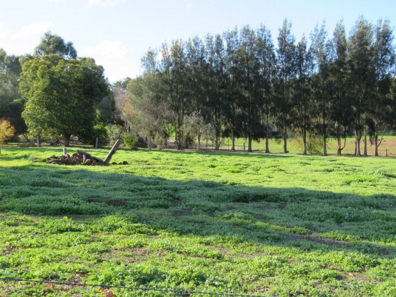 Lot 740 Laverty Street, Bridgetown WA 6255